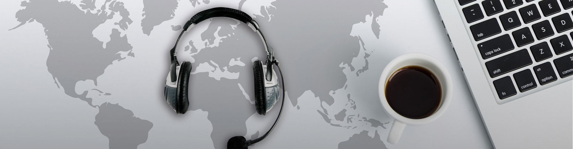 NG电子游戏集团（LSI）