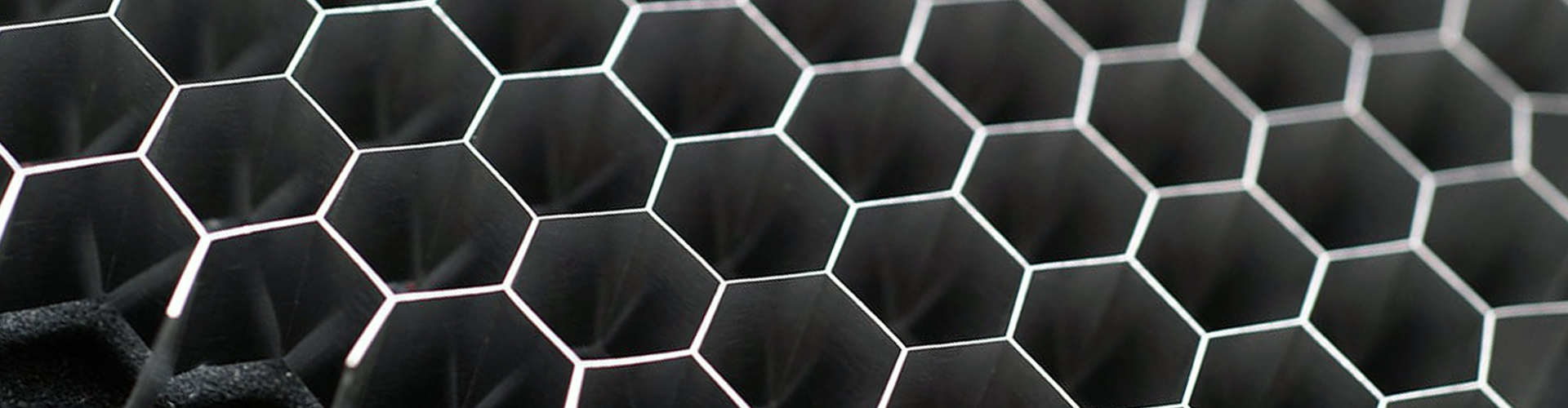 NG电子游戏集团（LSI）