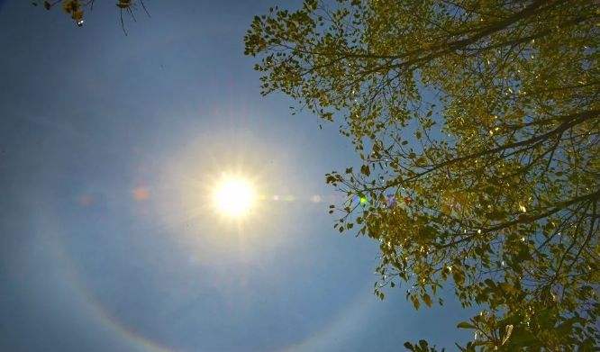 NG电子游戏·(中国区)官方网站